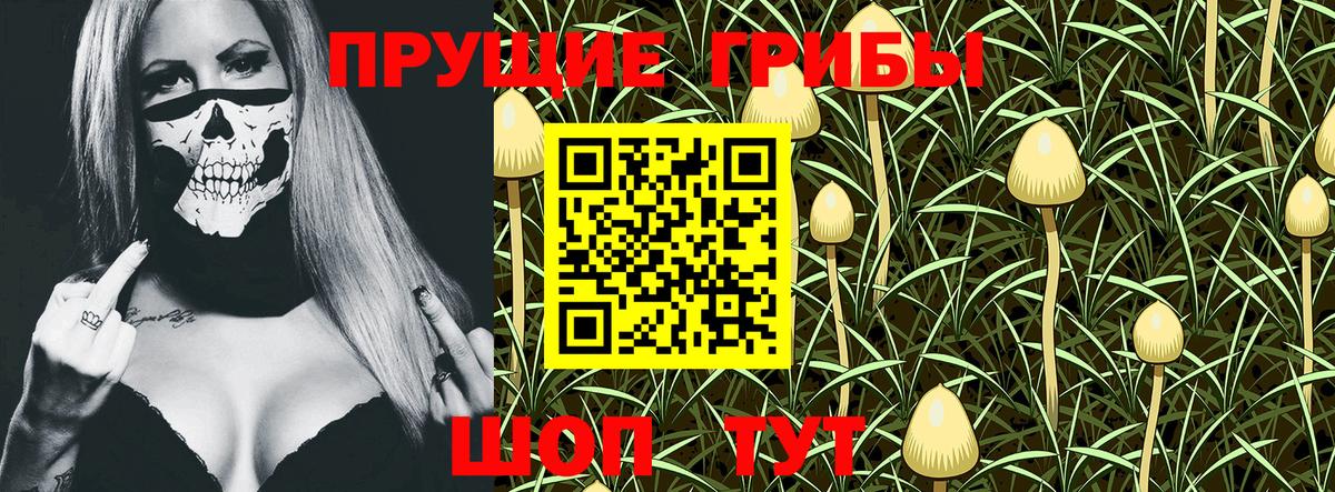 Аша  Псилоцибиновые грибы Magic Shrooms  Вход с VPN 